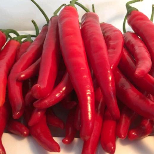 万能辣椒酱,白饭也可以吃三碗,厨房小白也可以变身大厨