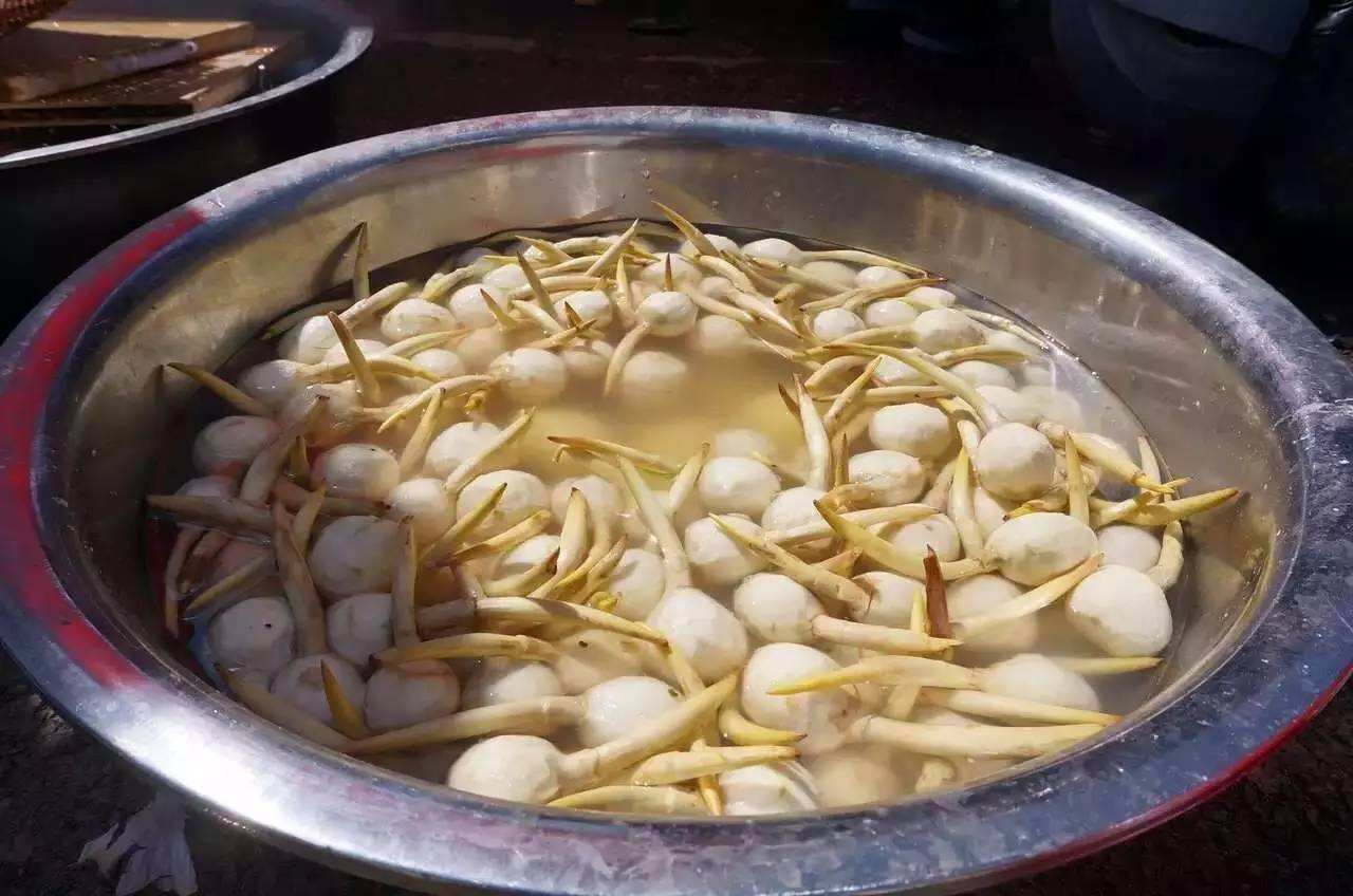 这种水中的"果子",长得像芋头,炒肉似补药,有的人可能没见过