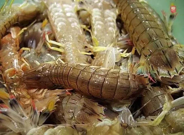 荣成海鲜丨海味江湖风云起,四海英雄斗鲜魁