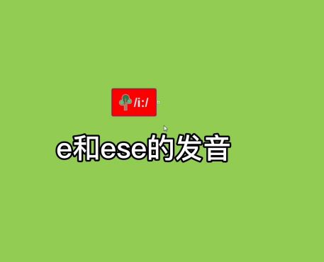 小e妈育儿圈