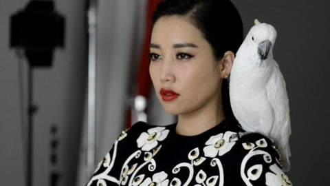 黄丽玲:我是歌手,bukesiy