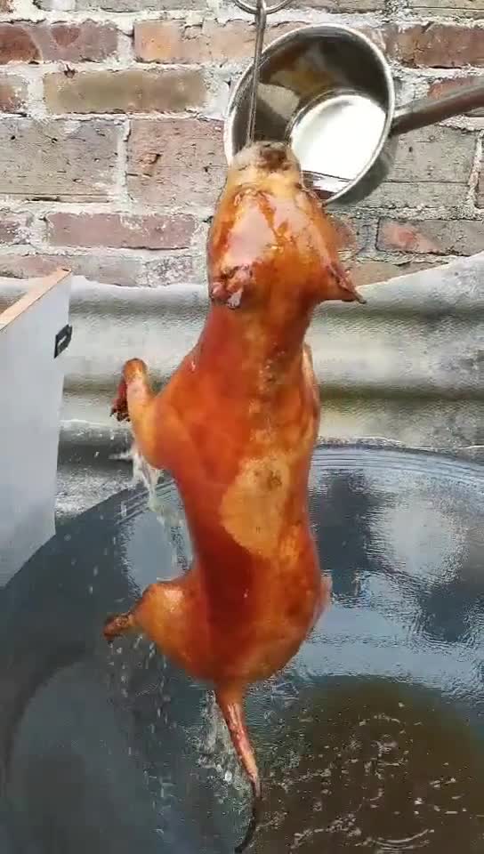 广西特产正宗玉林脆皮狗肉