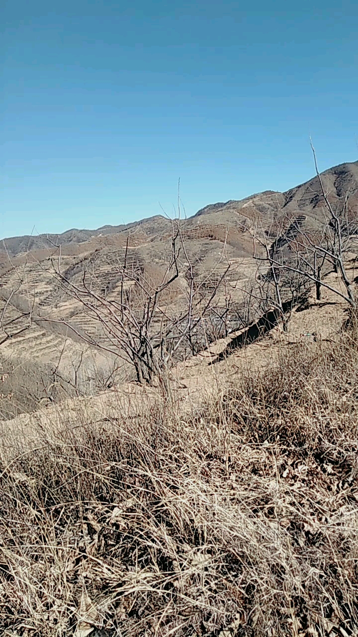 农村大山沟