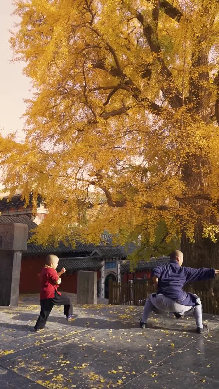 萌娃千年银杏树下记录三宝在少林寺的一年台上三分钟台下十年功