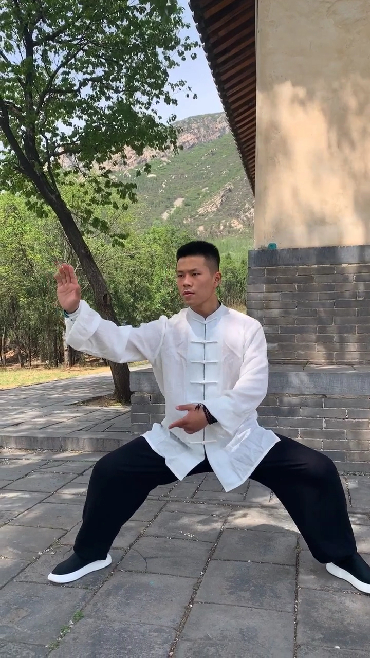 太极秘传(缠丝)乌龙绞柱