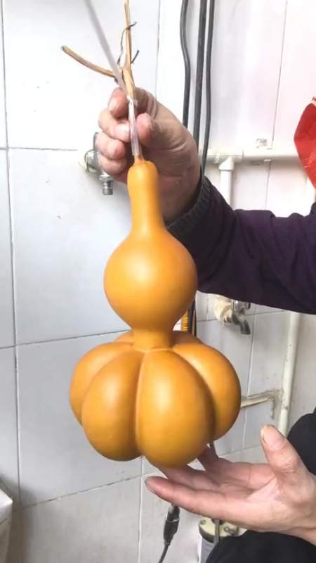 搞笑段子#老爸说用葫芦给我做个装饰品,我拿来一看,没个几千万绝不