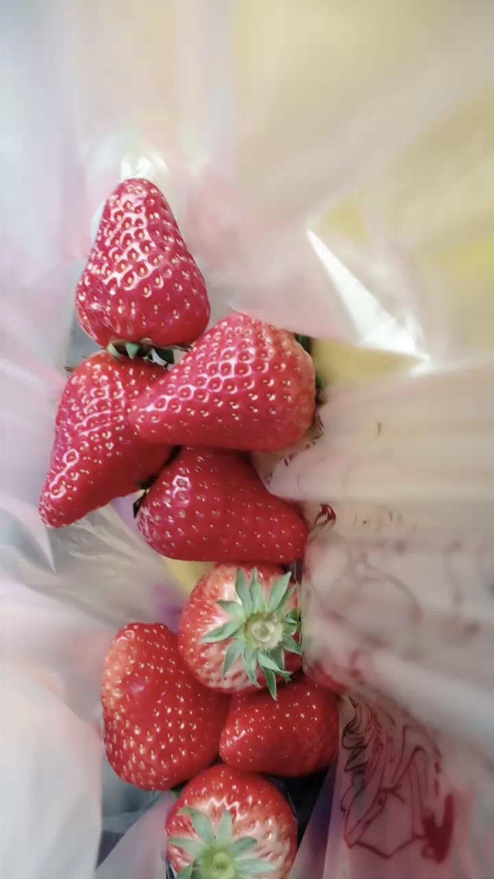 九个草莓15 块钱