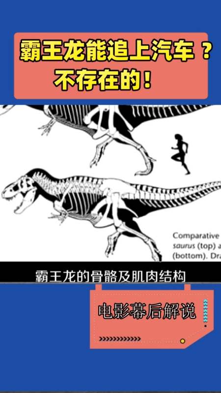 霸王龙能追上汽车 ? 不存在的!-度小视