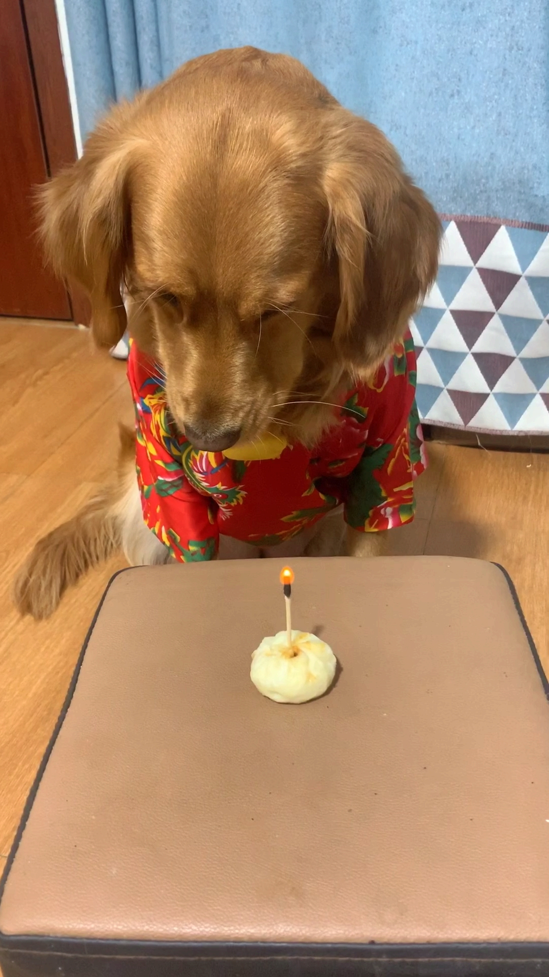 这个蛋糕属实有点凄凉啊