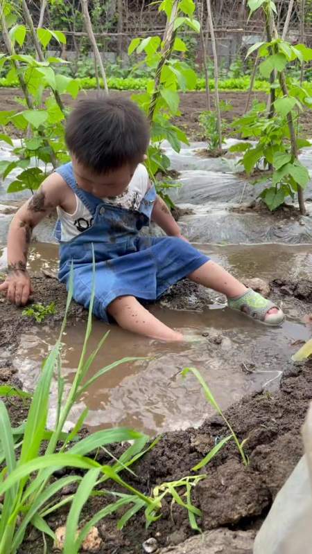 这是我把孩子送回农村散养的第二十一天