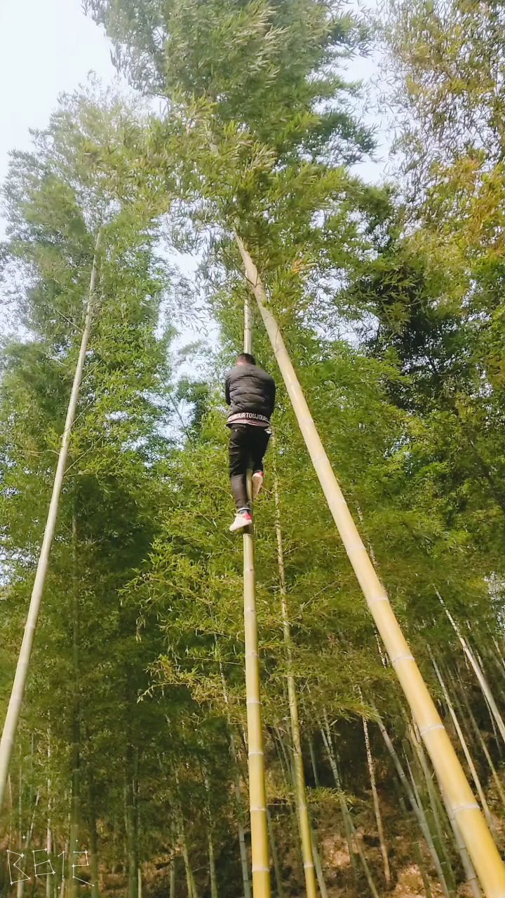 爬竹竿,小时候有玩过的吗