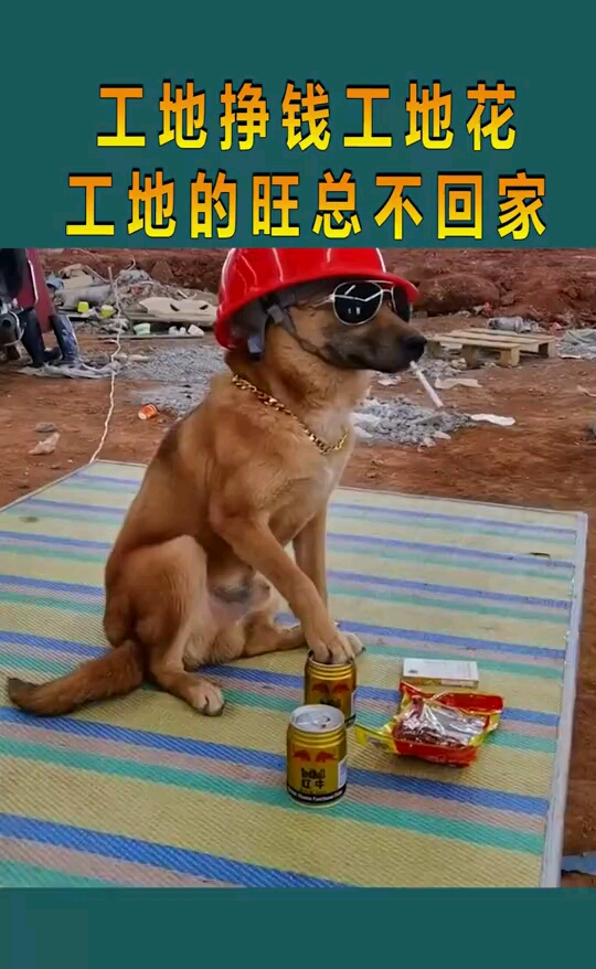 工地干活图片表情包图片