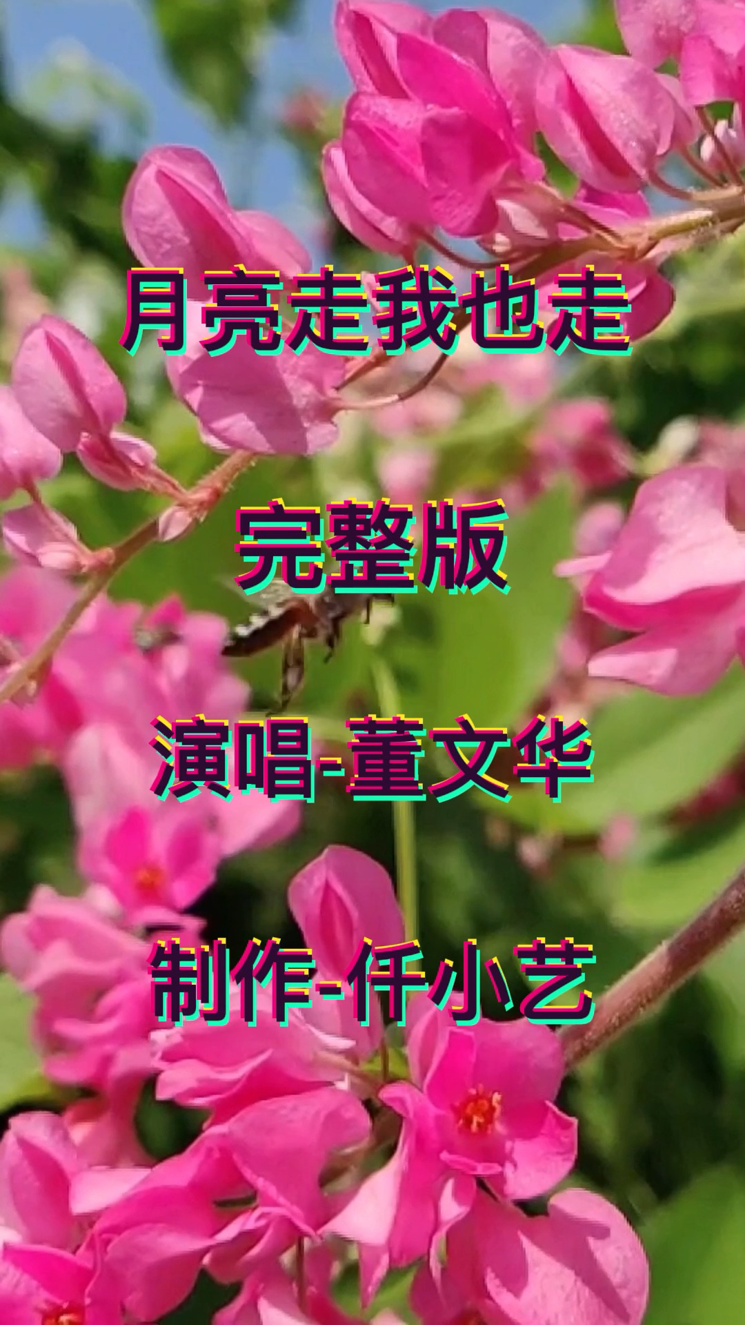 中国怀旧影视歌曲磁力下=经典老歌500首怀旧迅雷下载