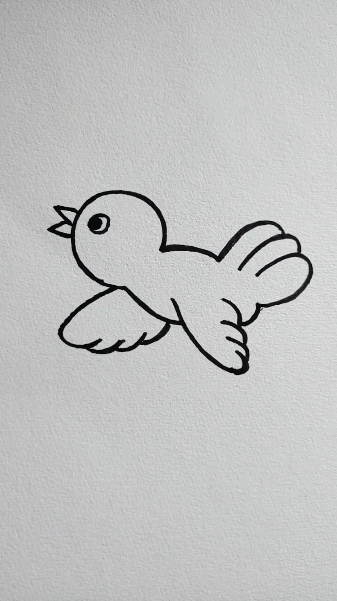画一只小小鸟