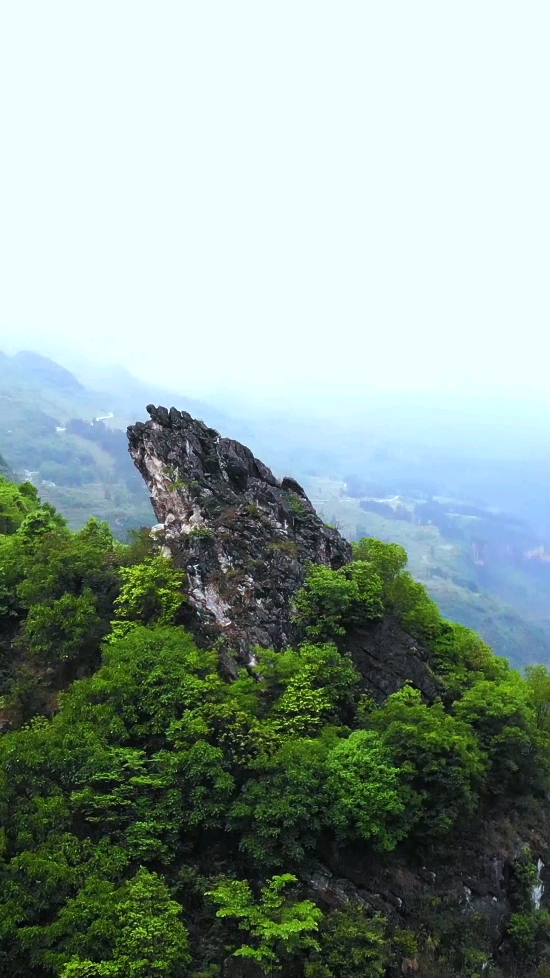 带上全民去旅行#贵州大山里发现"超级金蟾",价值连城却无人敢动