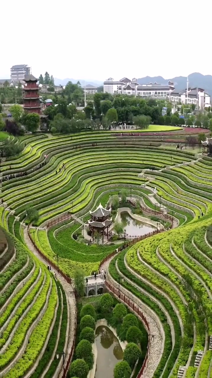 贵州毕节大方奢香古镇的梯田,宛如大地指纹,你见过吗?