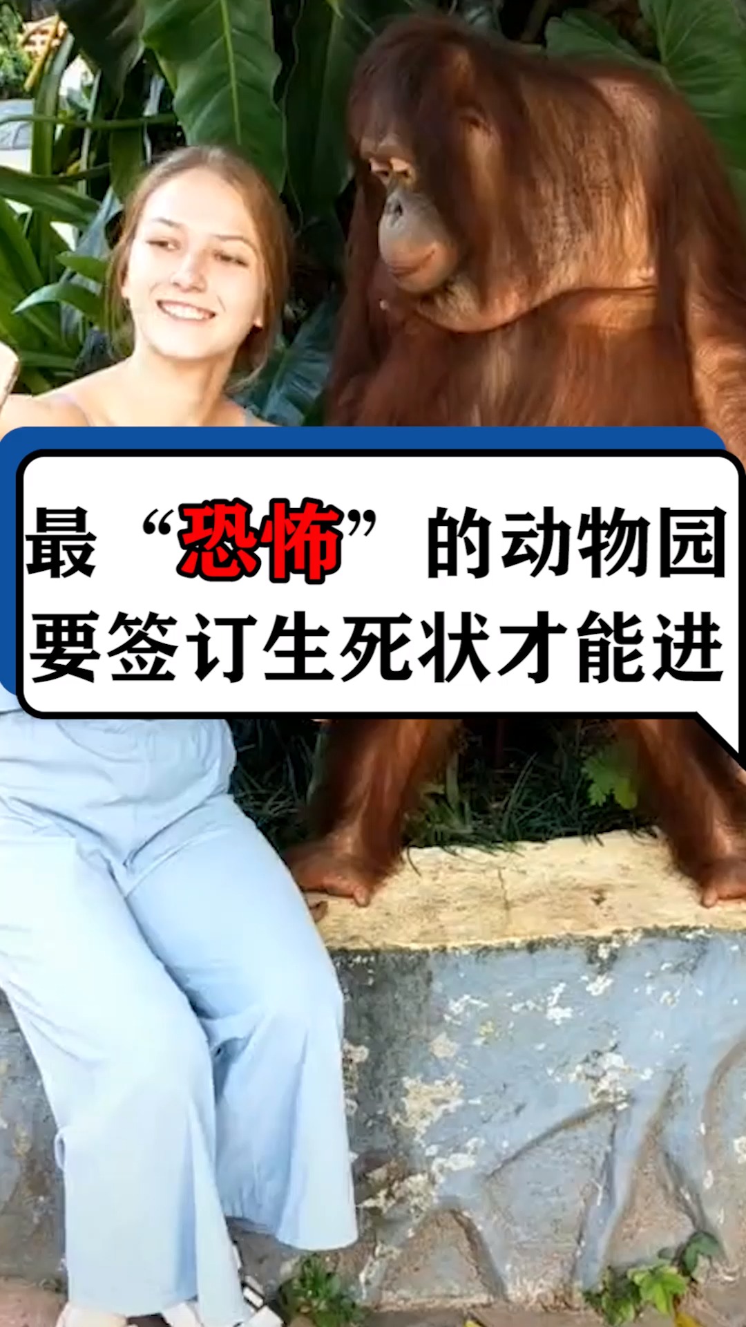 最恐怖的动物园要签订生死状才能进