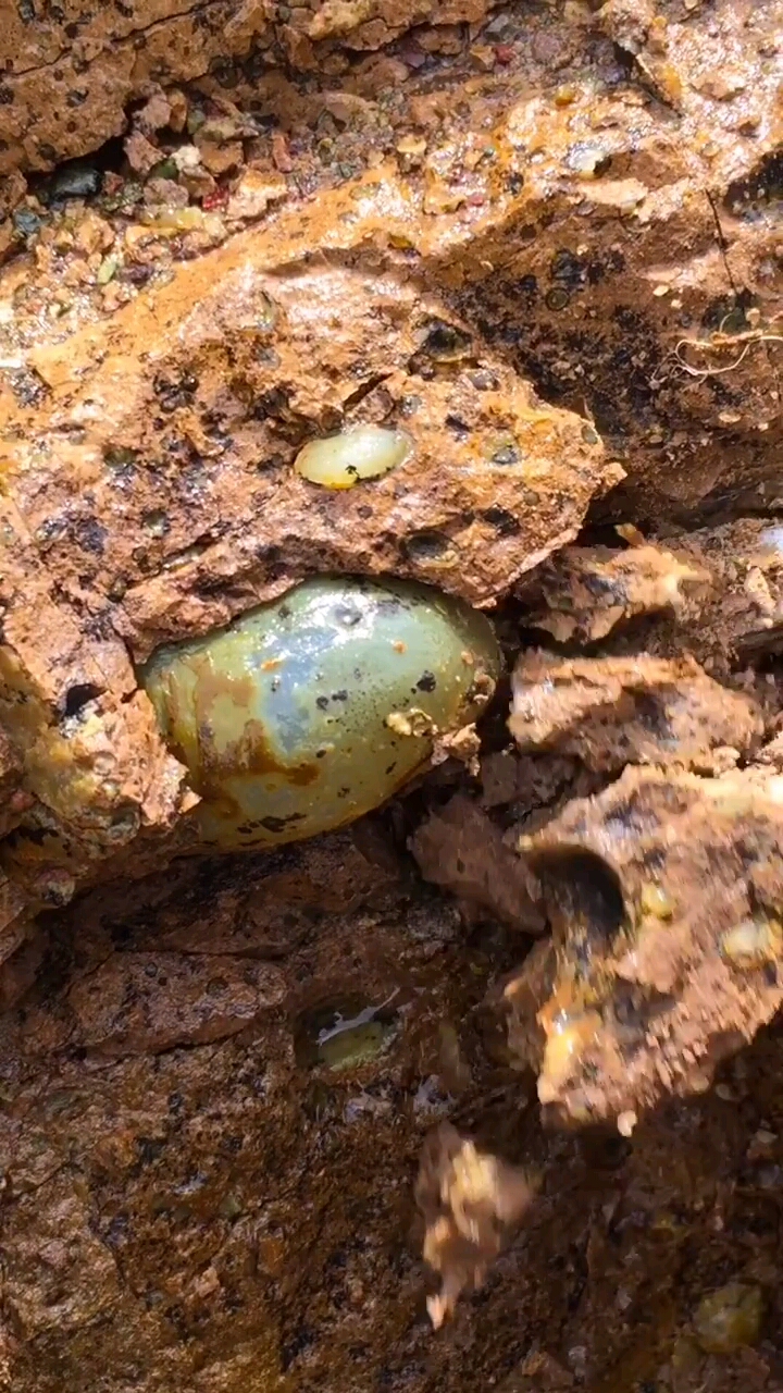 在山上发现了千年灵石,挖出来看看是什么样子的