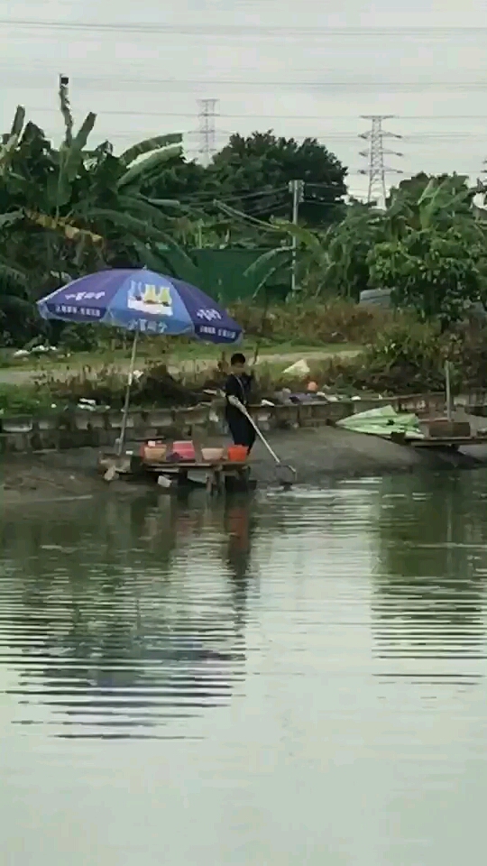 兄弟们钓鱼人难不难#兄弟们!