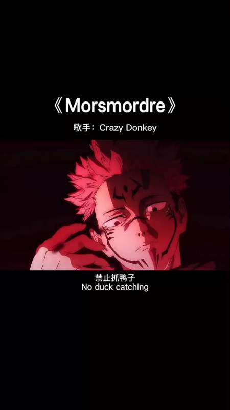 学会了不动声色,明白了物极必反