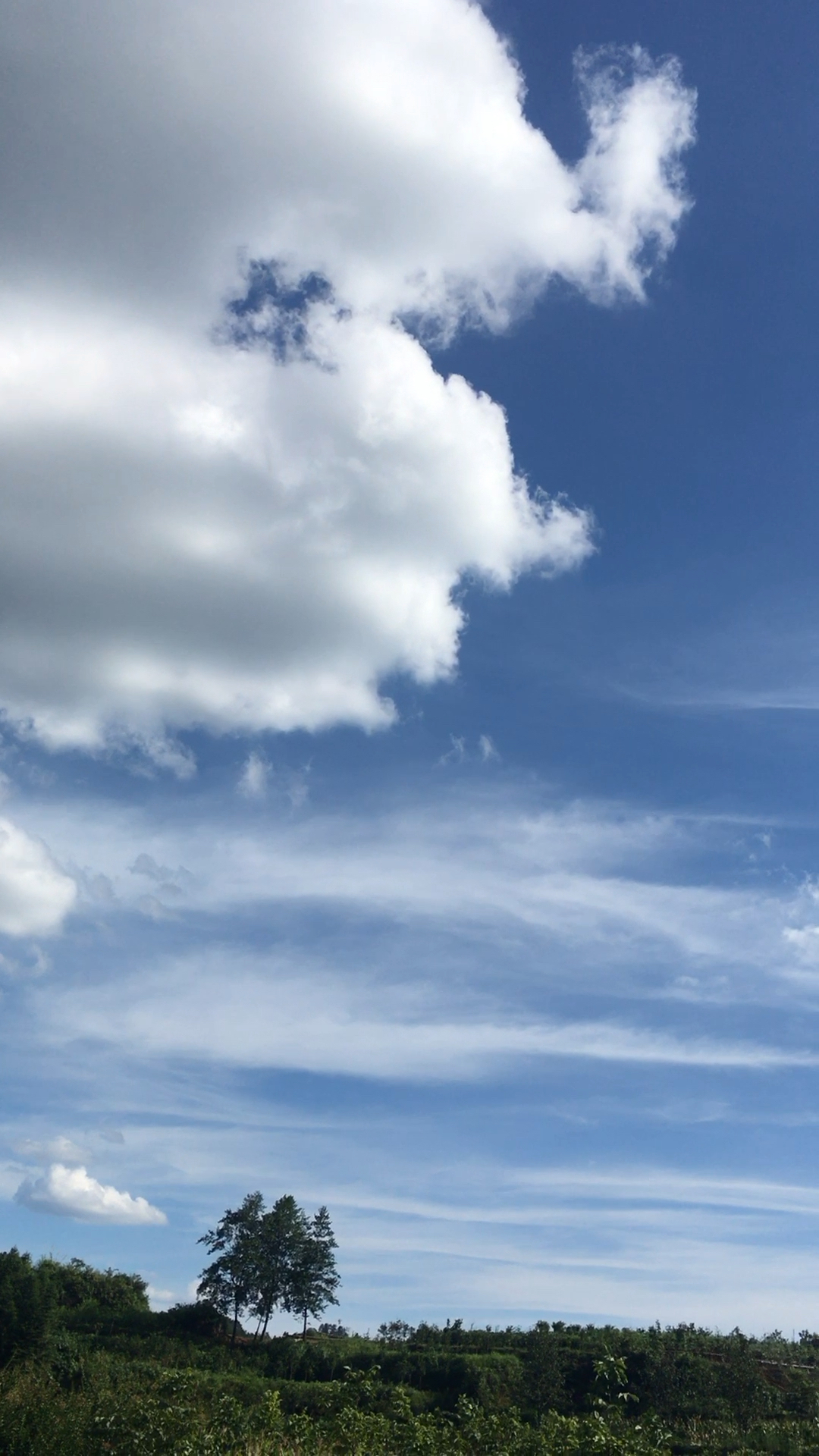 去留无意,望天上云卷云舒 8.