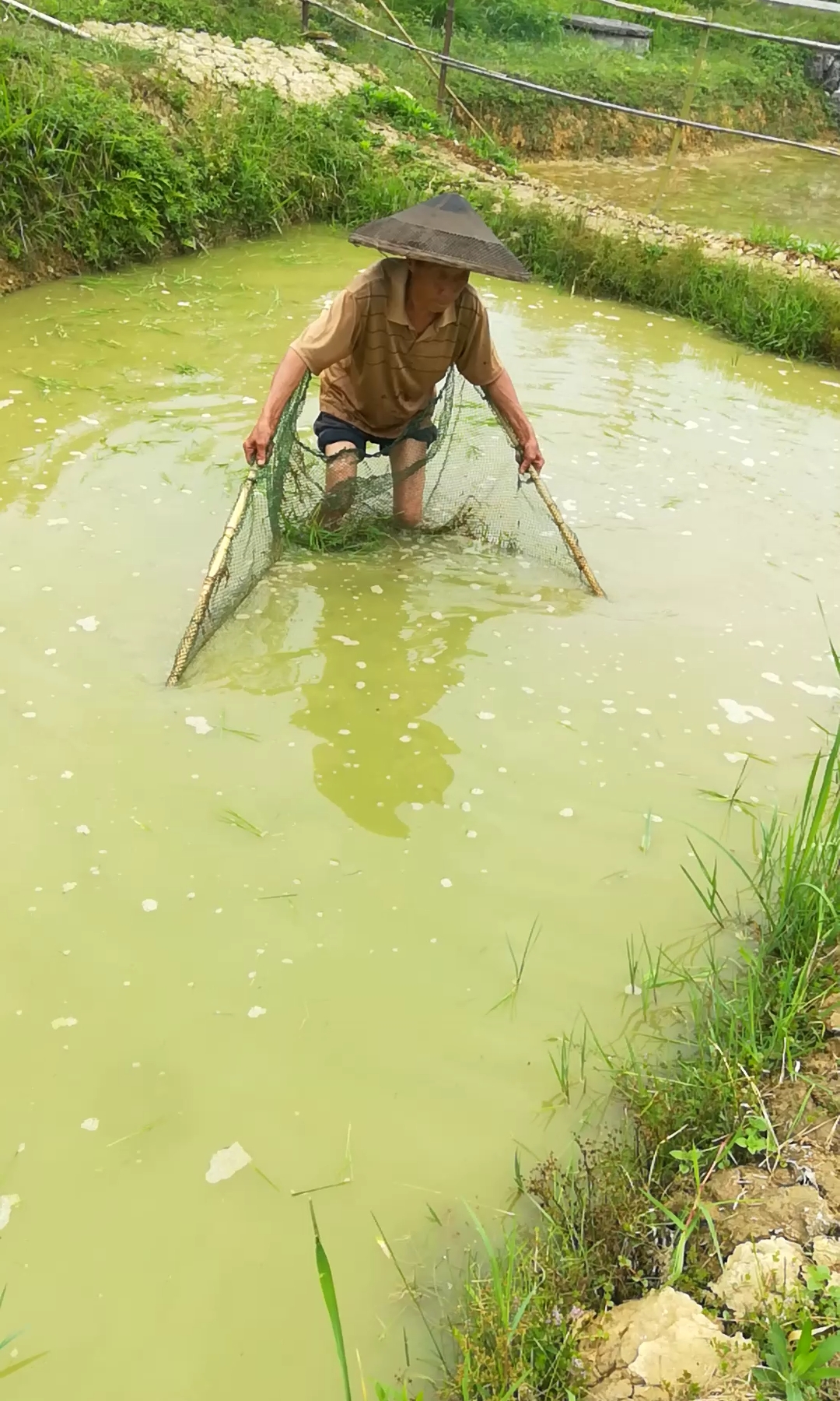户外抓鱼#浑水捞鱼,儿时的乐趣!