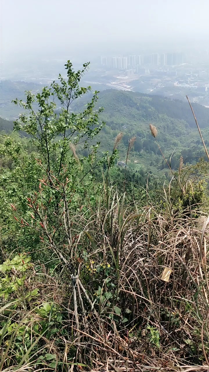 重庆垫江红旗山图片