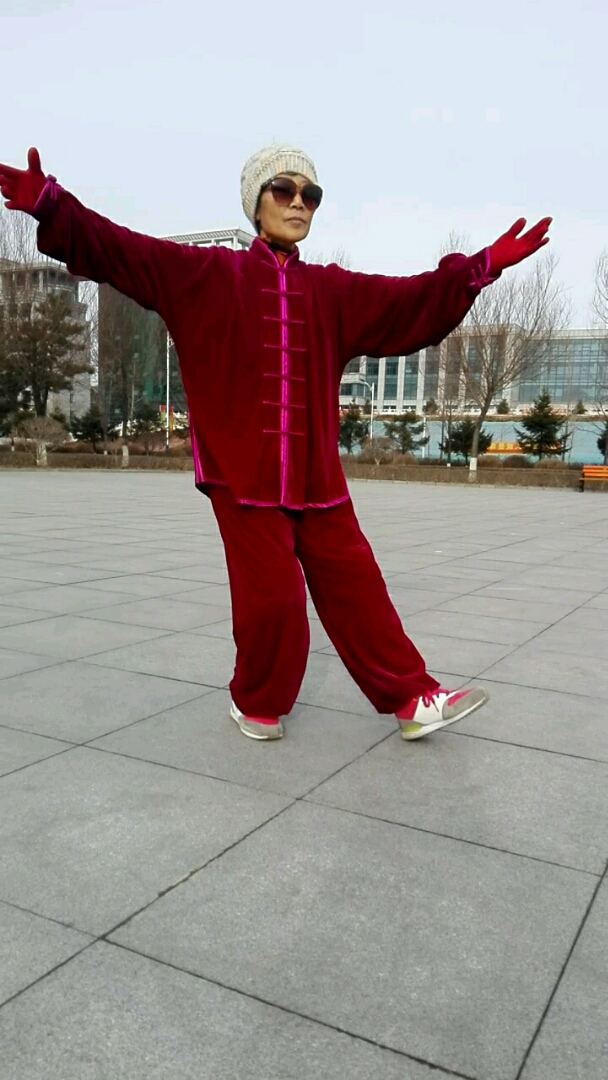 杨氏简化24式太极拳.手挥琵琶.倒卷肱,左揽雀尾