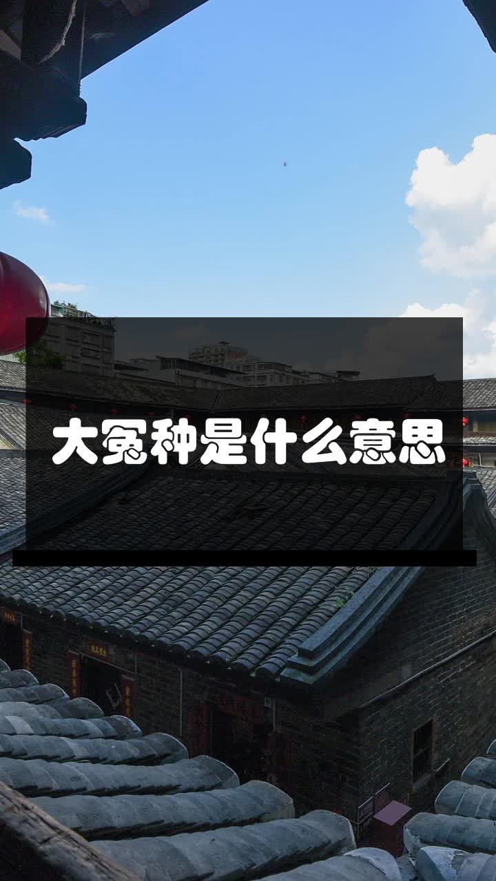 大冤种是什么意思