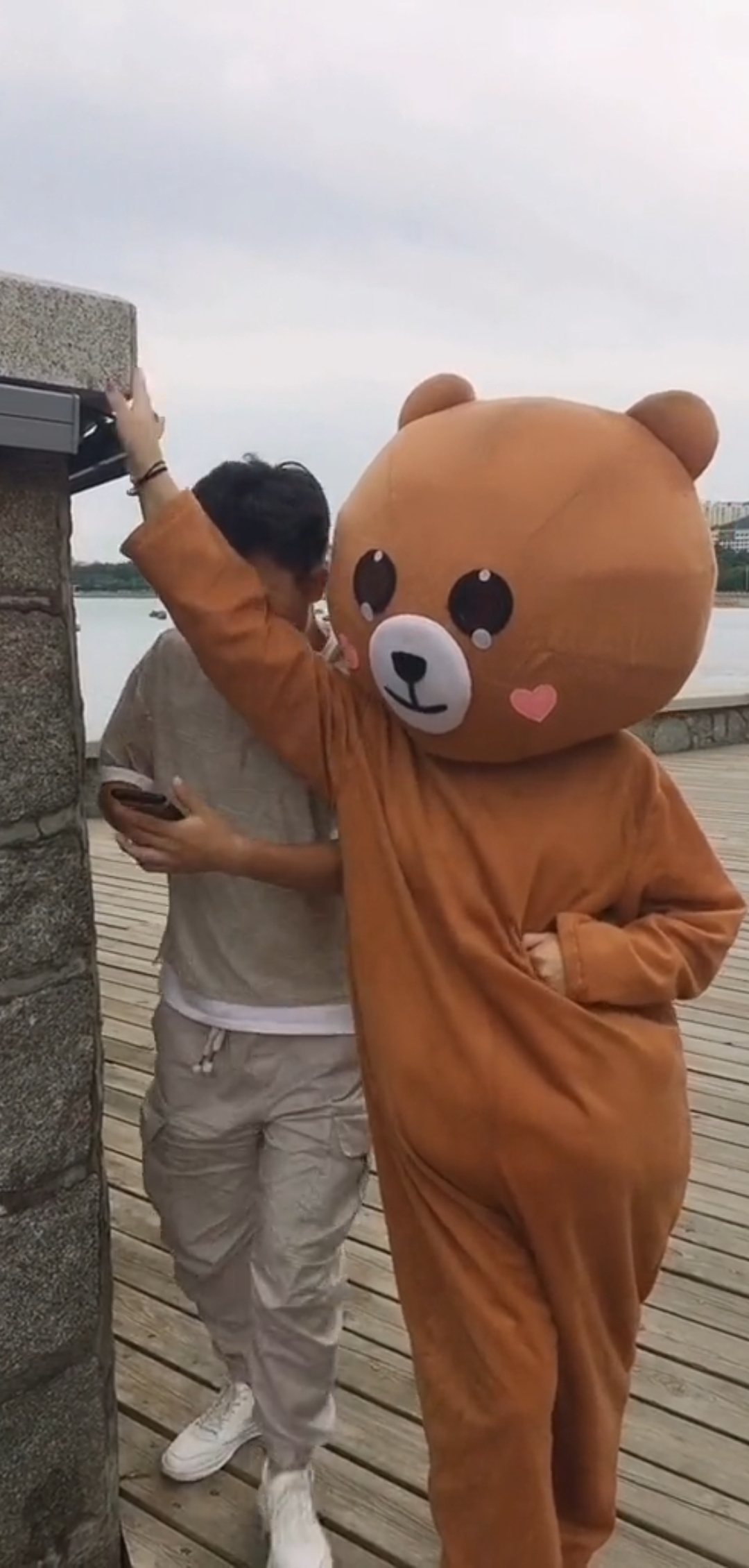 网红熊#你玩手机不看路,怪我喽