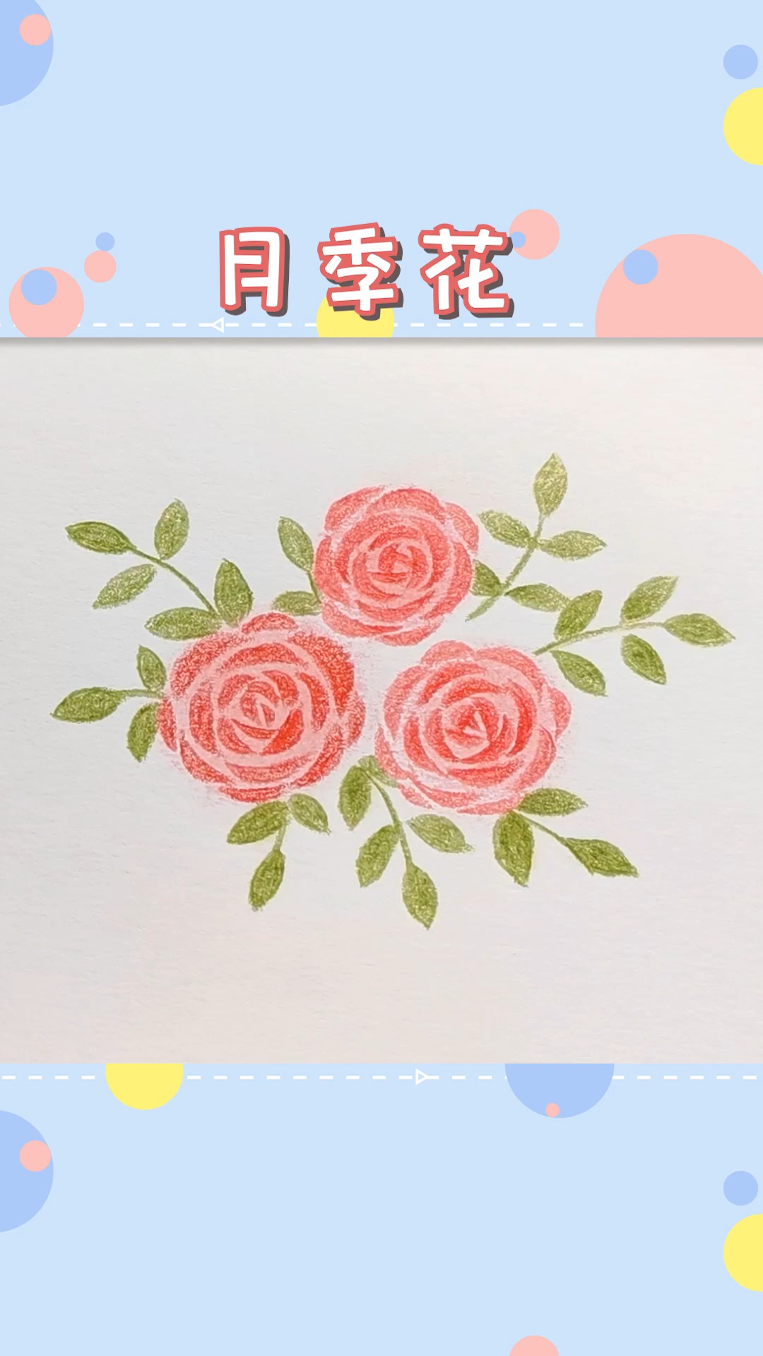 彩铅画#新手彩铅画入门:月季花,全网最简单的画法了