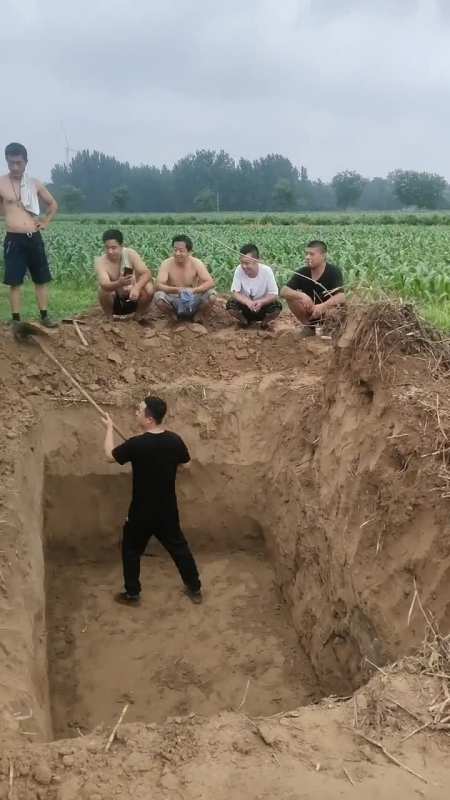 一个人干活六个人看怎么这么真实呢