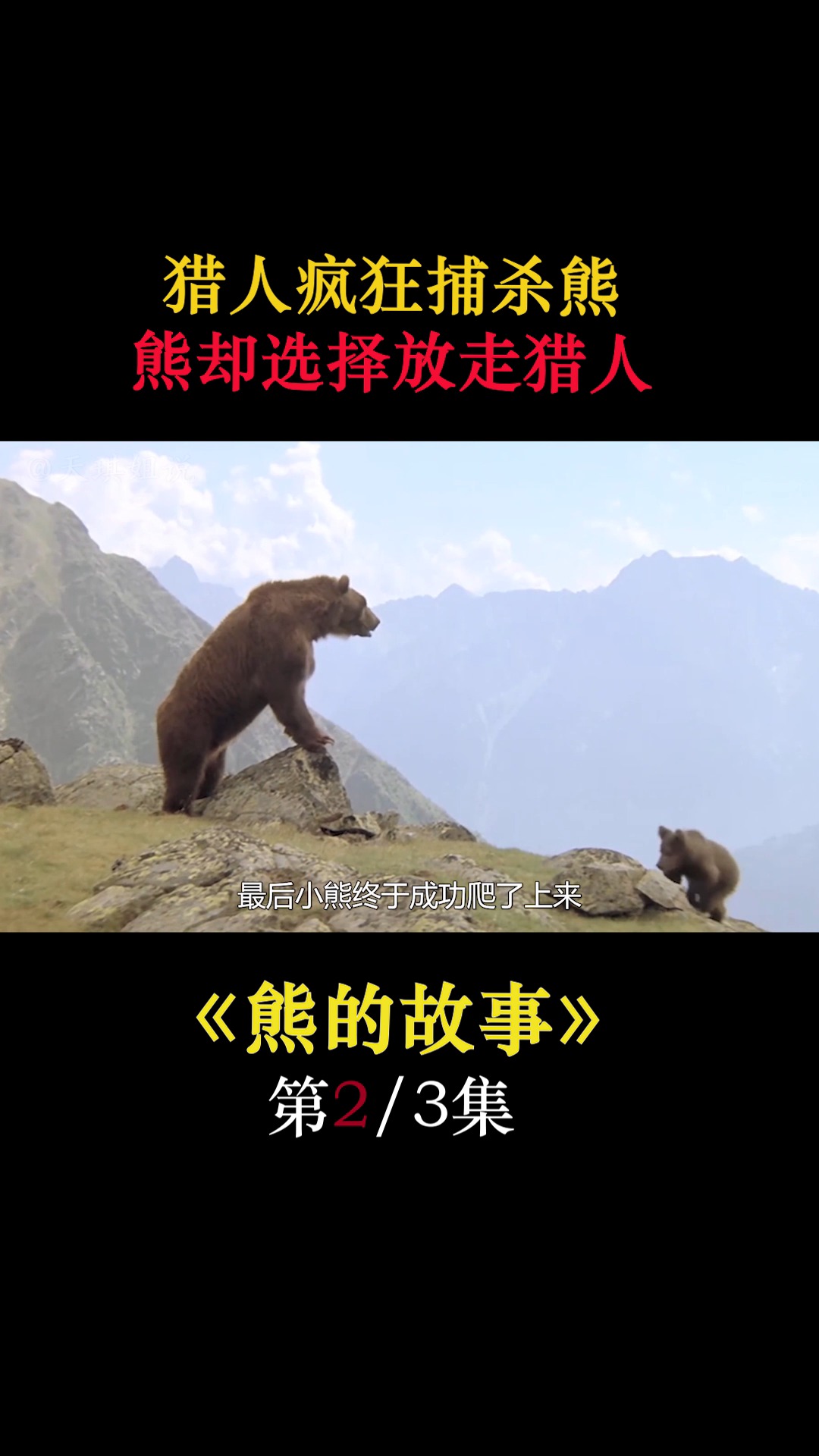 电影解说#豆瓣9.1《熊的故事》,猎人疯狂捕杀熊,熊却选择放走猎人!