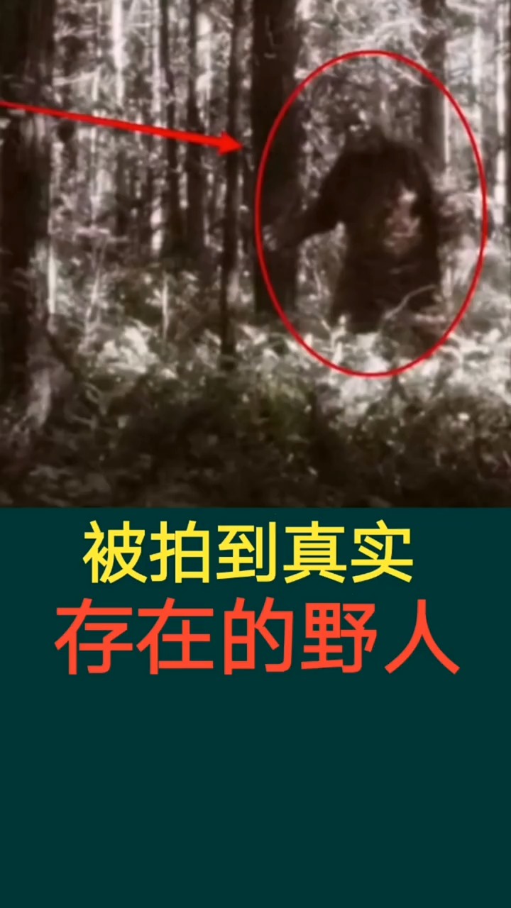奇闻趣事抢先看#被拍到真实存在的野人