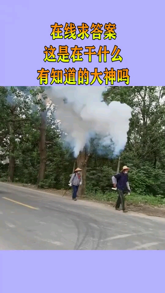 在线求答案这是在干什么有知道的大神吗