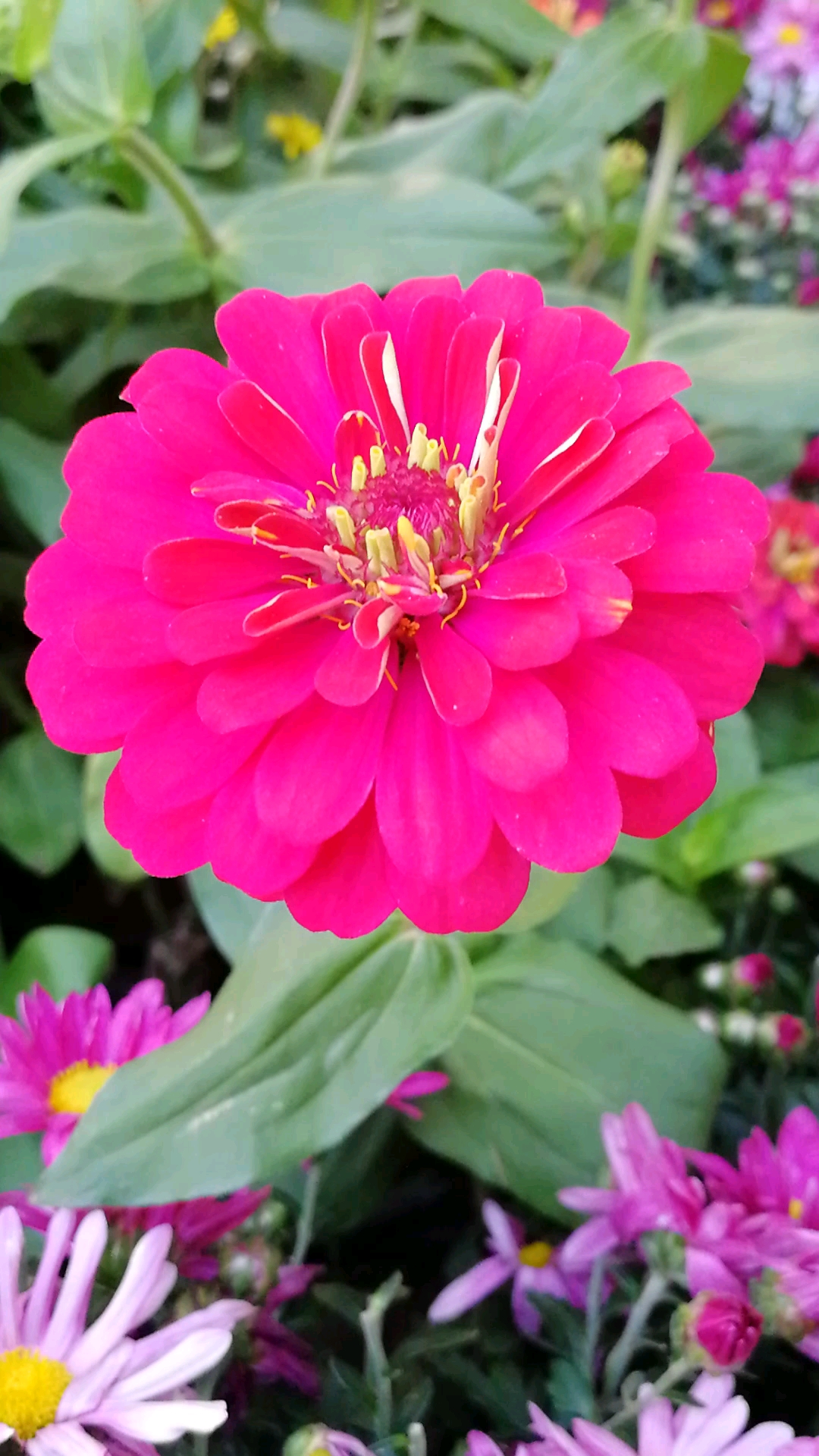 美丽新中国#步步登高