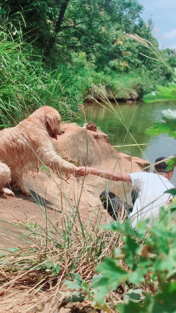有时候能拉你一把的 不一定是人