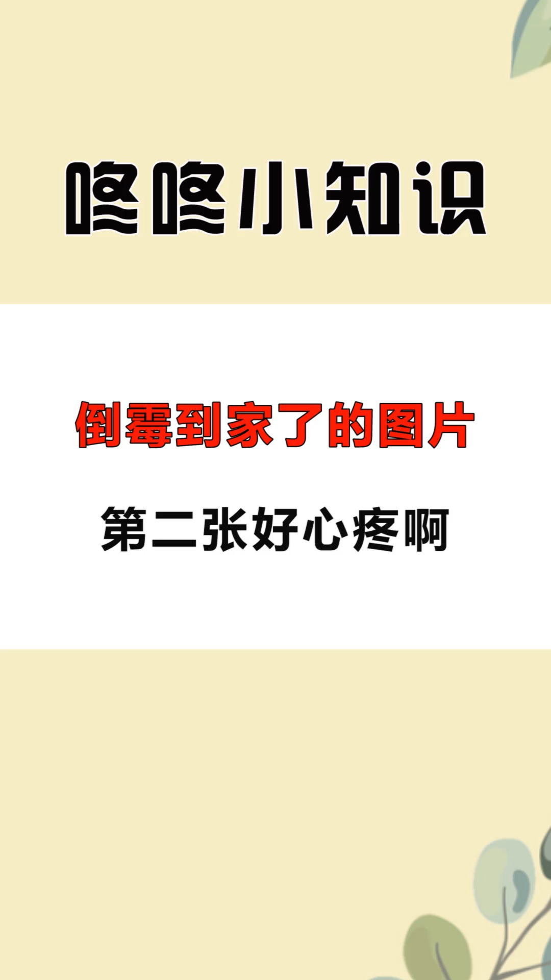 每天一点冷知识倒霉到家了的图片第二张好心疼啊