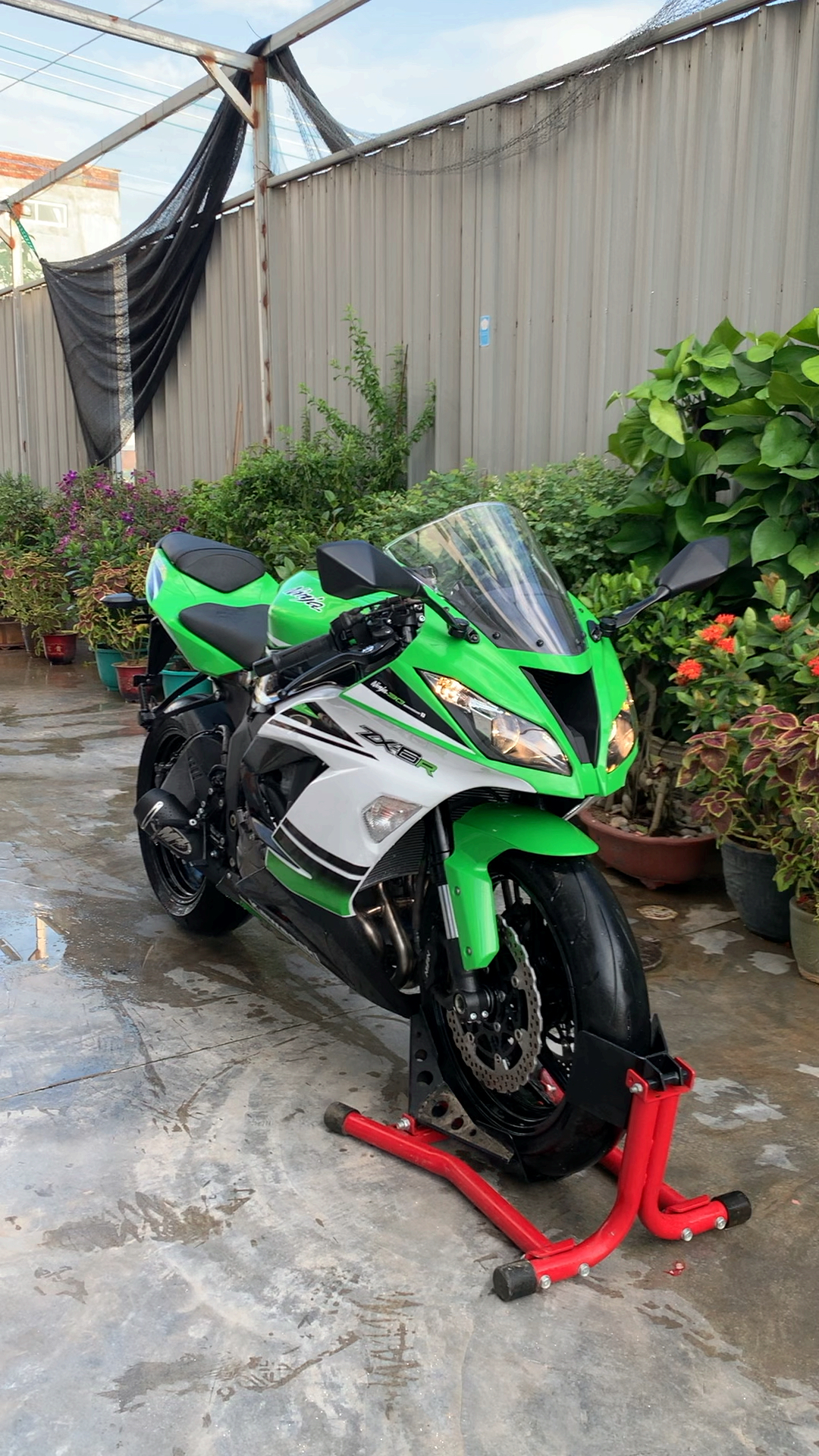2013年 川崎 小牛zx-6r 30周年纪念版 成色完美 改装排气 声浪超好听