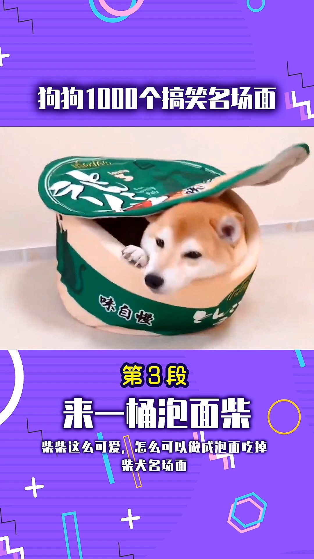 搞笑萌宠#来一桶泡面柴!柴柴这么可爱,怎么可以泡了吃掉呢