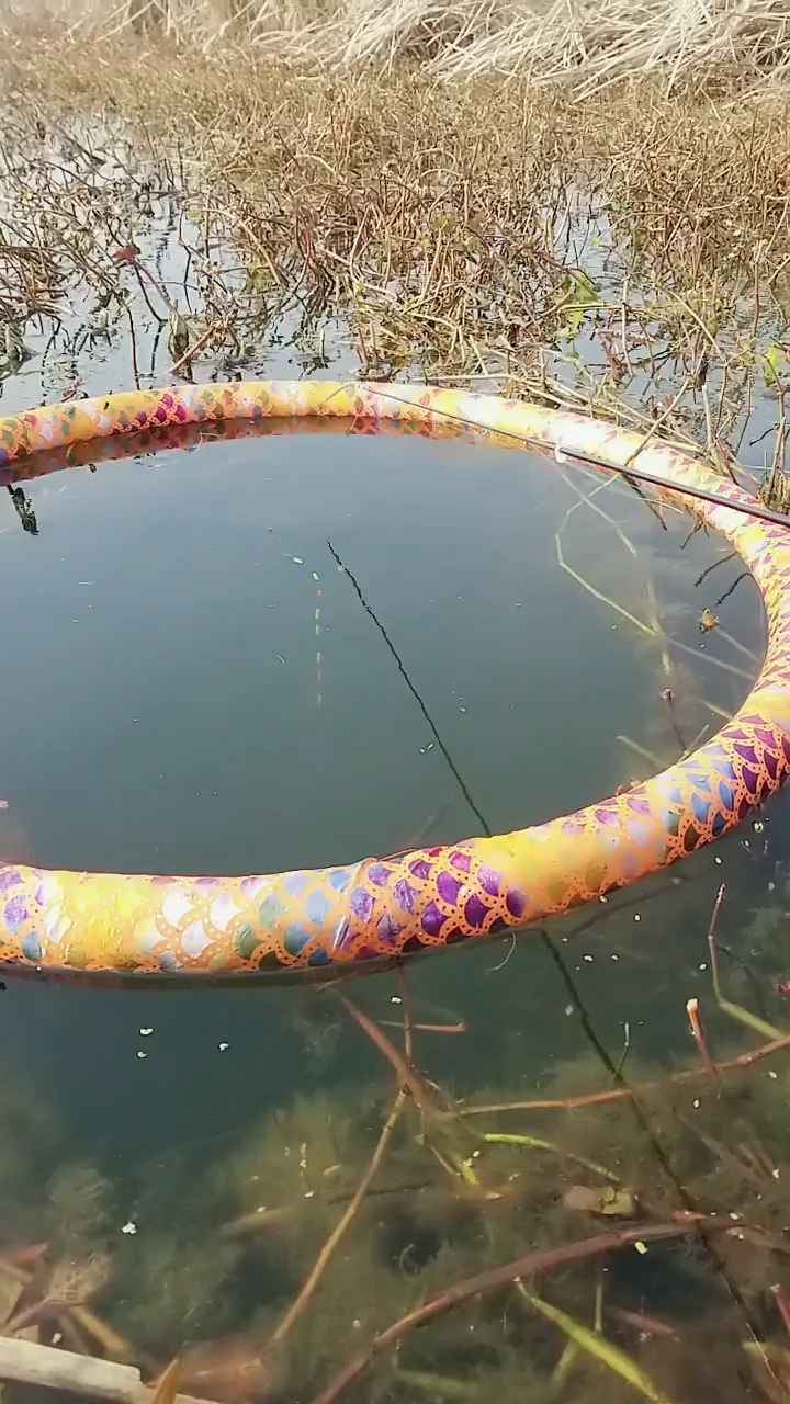 画个圈圈把鱼圈起来,好钓