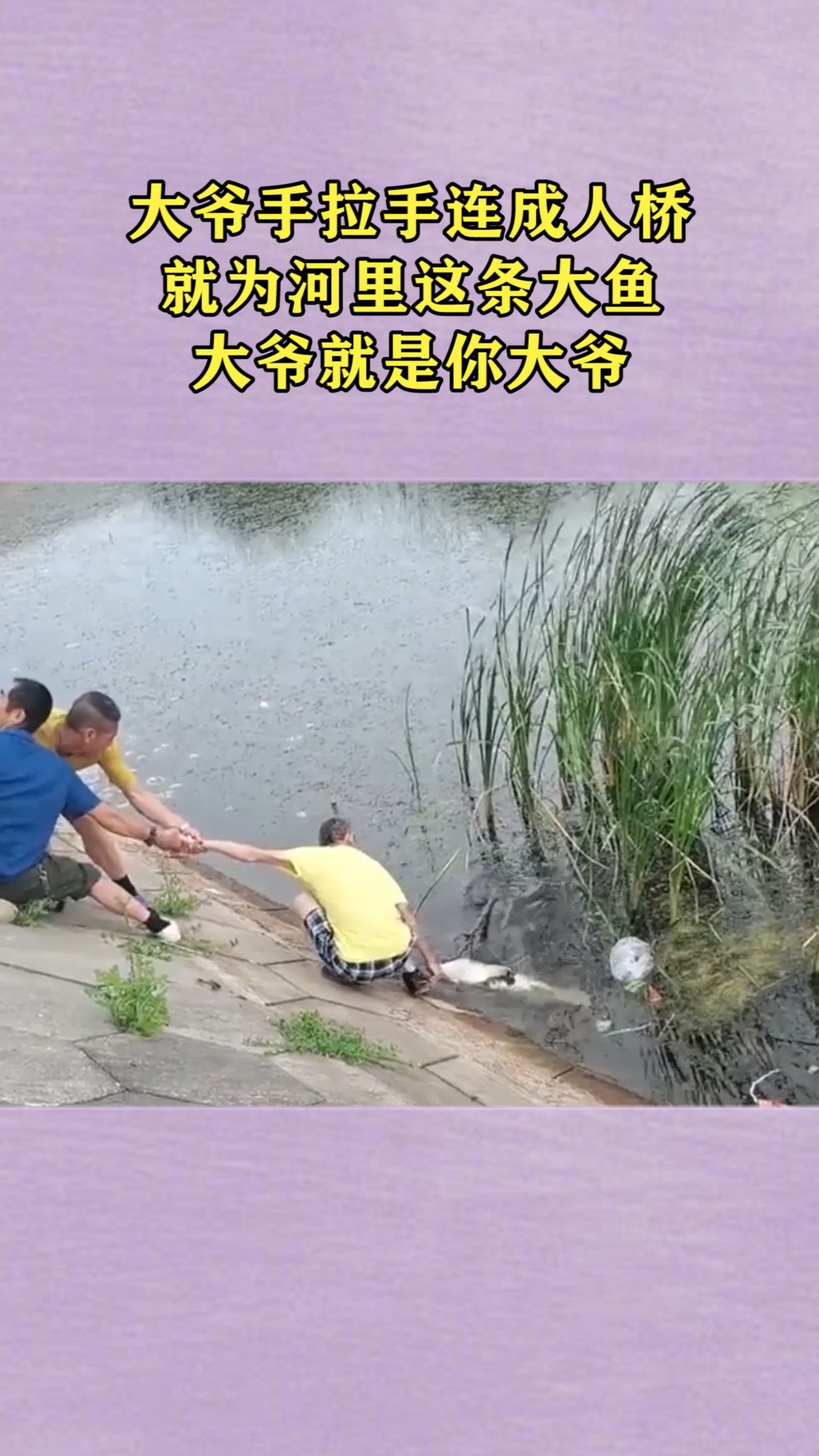 大爷手拉手连成人桥就为河里这条大鱼大爷就是你大爷