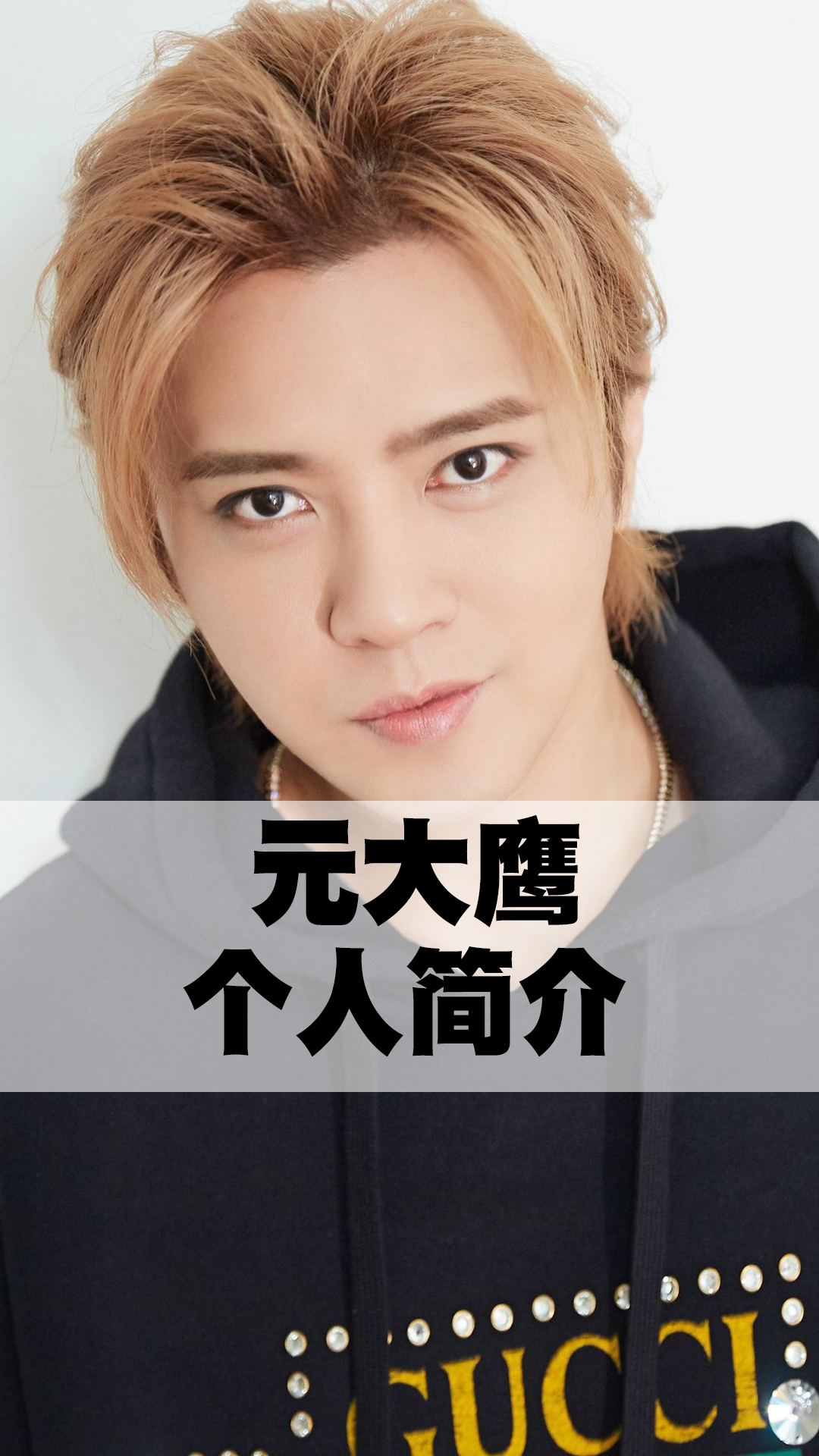 元大鹰个人简介