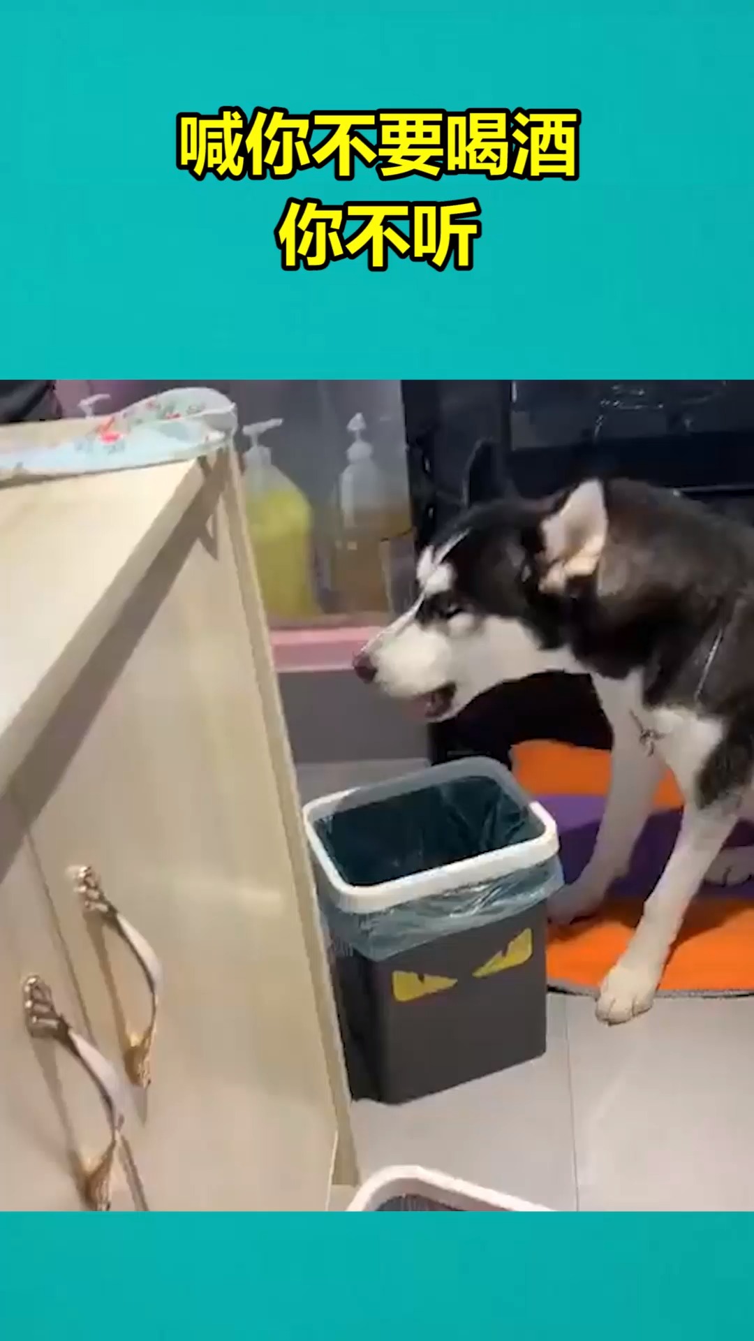 我搞笑你开心#喊你不要喝酒你不听