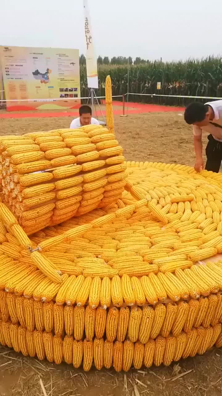 玉米竞选大赛,竟然把玉米摆成碾盘,这造型太漂亮了