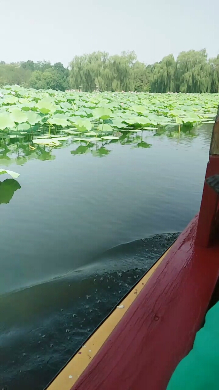 抗暑大作战#太热了,坐船凉风吹吹