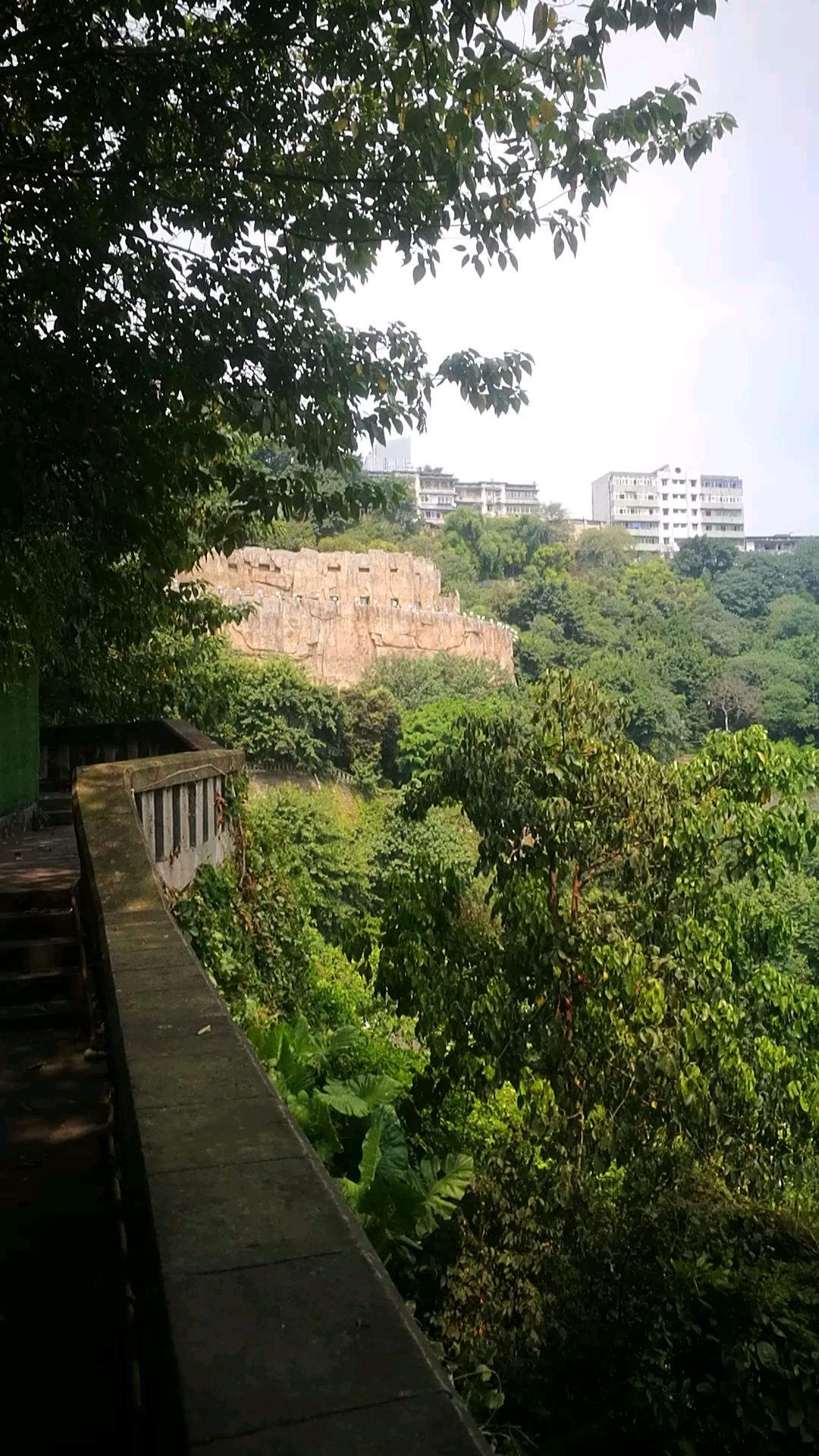 夏日旅行目的地#渝中区石板坡上看长江大桥和在建的轨道10号线过江