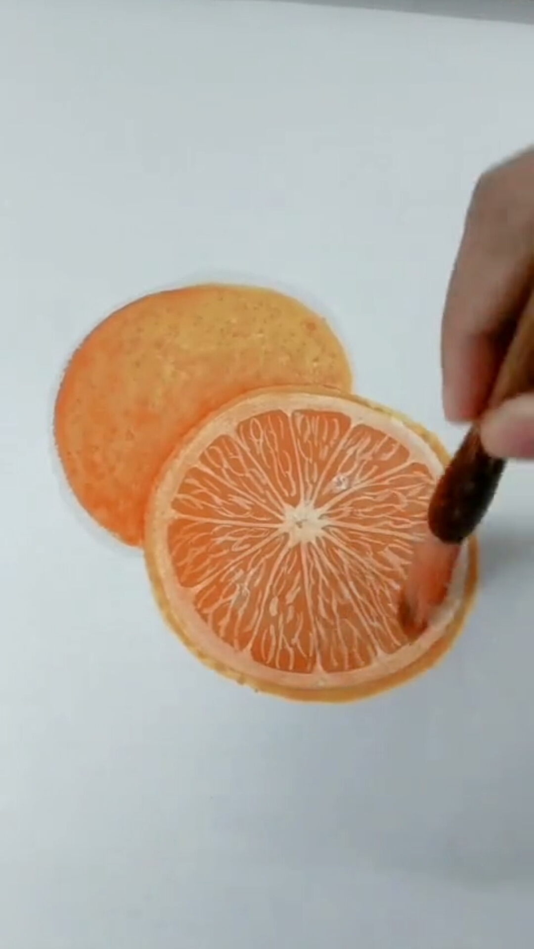 画画原来如此简单#零基础国画入门,写意橙子画法