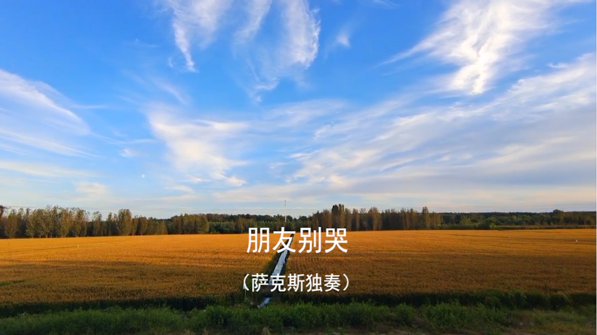 朋友别哭中音版,好听的音乐加上美景,大叔用萨克斯演绎经典