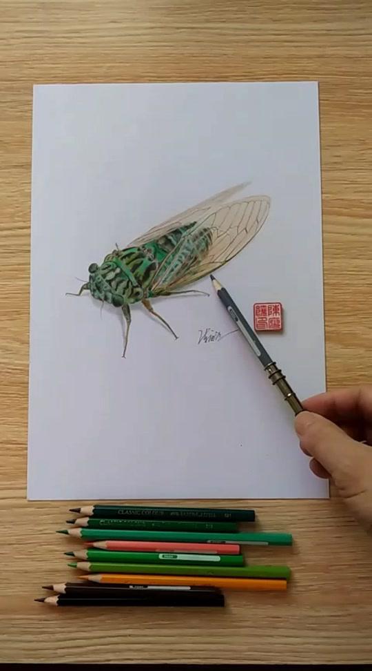 "金蝉脱壳"过程分享…(不定期分享手绘作品图画教程)